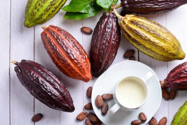 Cabosses et fèves de cacao