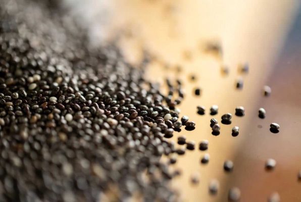 Petit tas de graines de chia