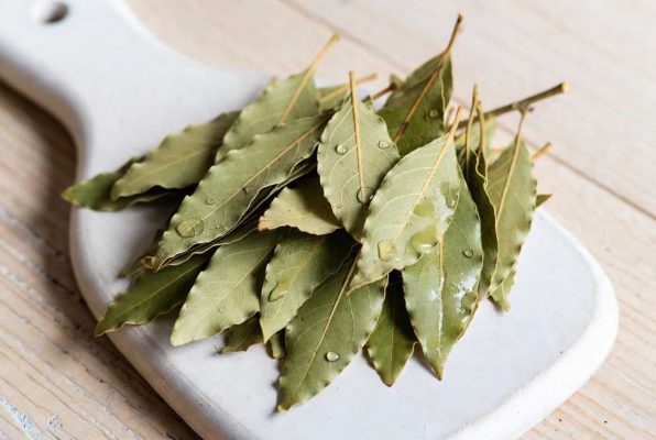 Petit tas de feuilles de laurier