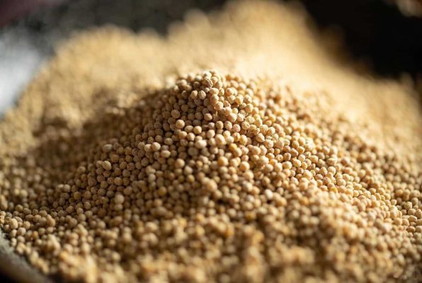 Tas de levure en granulés