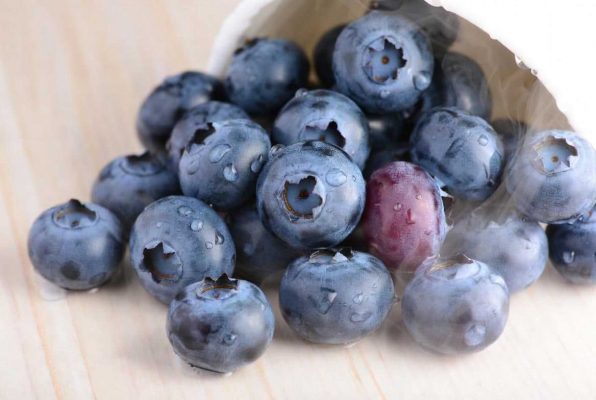 Petit tas de myrtilles